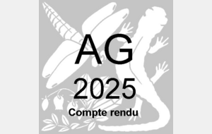 Compte-rendu Assemblée Générale du 21/11/2025 en cliquant sur 'NAVIGATION' 'INFOS PRATIQUES' et ensuite 'documents'.