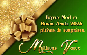 Bonjour. Il n'y aura pas de concours les mercredis 24/12 et 31/12. Rendez vous le mercredi 07 Janvier à 14h30 pour jouer, en triplette libre.